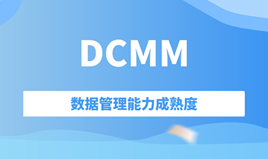 數(shù)據(jù)管理能力成熟度評估(DCMM)服務